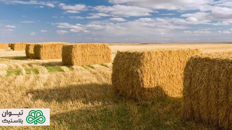 تفاوت نخ بیلر و نخ عدل بندی